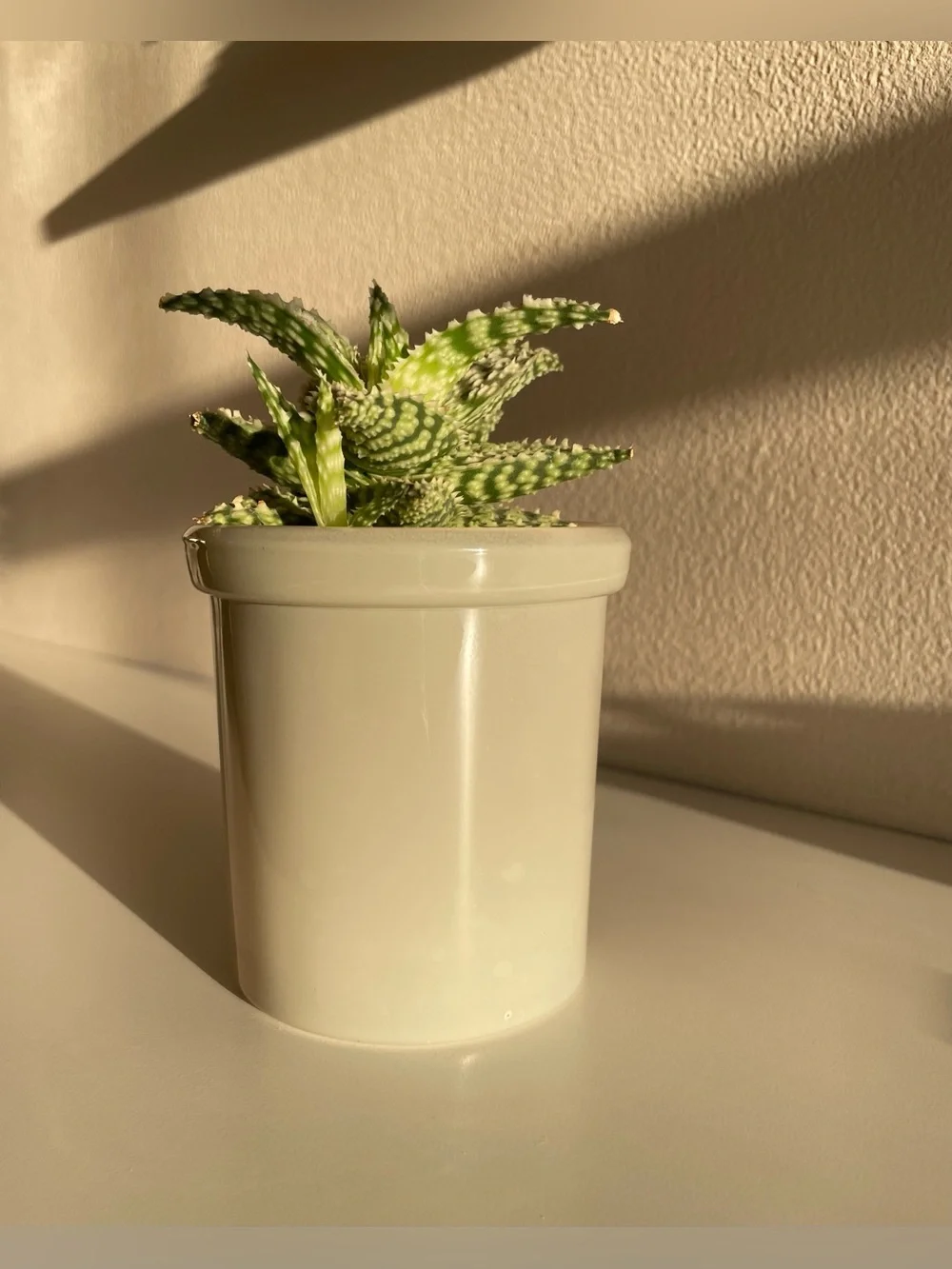 Sage Green Jar